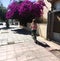 Girl rides a bicycle on the street of Jordan. Aqaba