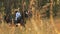 Girl riding on a brown horse through the woods