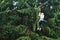 Girl riding cableway in forest adventure high wire park