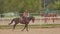 Girl riding a horse