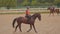 Girl riding a horse