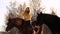 Girl riding a horse on a ranch. Fashionable beautiful girl stroking a horse. A quiet Sunny winter`s day. it`s snowing
