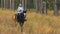 Girl riding a horse walking in the woods