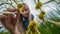 The girl rips off the dandelion. Extra low angle shot