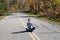 Girl, road and autumn forest, Marinette county; Wisconsin;