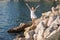 Girl on rocky seashore in sunny day