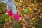 A girl in rubber boots holds a rake and rakes the fallen leaves