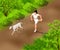 Girl running with her dog in the forest or the city park in the morning. Fitness concept vector isometric illustration. Healthy