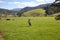 Girl running in Tasmanian farmland