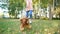 Girl runs along green park holding funny ginger dog on leash