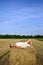 Girl in a rural clothing lying on the haystack