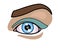 Girl`s eye and eyebrow - full color stock illustration. Beautiful female eye with makeup. Blue eyes with blue shadows. Eye makeup.