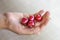 Girl\'s hand with four cherries