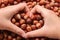 The girl`s hand holds a heart-shaped hazelnut between her fingers. The concept of love for nature. Lot of hazelnuts in the shell