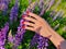 Girl`s hand with matte red manicure holding flower on lupine background. Natural beauty and fashion concept.