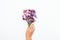 Girl`s hand with white manicure holding small bouquet