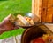 The girl`s hands outdoors holding a transparent plate of soup borscht with bone meat and vegetables.