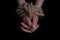 girl& x27;s hands tied with a rope on a black background