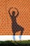 Girl\'s shadow on a red brick wall