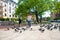 A girl scares a flock of pigeons in the city square