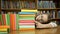 Girl schoolgirl counts the number of books in the library.