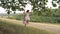 The girl shakes her mother on a swing. A child with his mother for a walk walks in the park on a day off. Teamwork