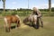 Girl with Shetland ponies