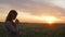 Girl silhouette at sunset walking in field of wheat, young woman in solitude on nature, concept lifestyle, meditating