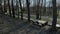 The girl sits on a bench in a spring park. There is a bicycle nearby