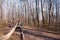 Girl sits in a forest on a fallen tree and enjoys the autumn weather. Woods landscape with woman who relaxes in nature. privacy