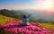 The girl sits on the lawn covered with pink flowers watching at the high mountains, sky with clouds and sun in summer day.