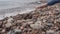 Girl sits on the shore of Baikal.