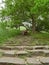 The girl sits on the vintage steps in a green park