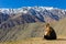 Girl sitting on arid ground looking at Andes snowy mountain range