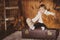 Girl sitting on a Big old suitcase wooden brown background.