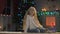 Girl sitting on floor in room decorated for X-mas, waiting Santa, holiday magic