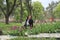 A girl sitting next to hundreds of red tulips. woman brunette sitting next to tulips in the garden