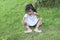 A girl sitting pull out weeds in lawn.