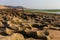 Girl sitting on the reef on low tide on the Atlantic coast of Africa