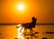 A girl sitting in a wicker rocking chair against the sunset