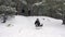 Girl sledding down the hill