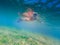 Girl snorkeling in a beautiful lagoon plenty of fish