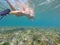 Girl snorkeling in a beautiful lagoon plenty of fish