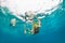 Girl in snorkeling mask dive underwater with tropical fishes