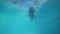 Girl in snorkeling mask is diving and swimming in pool underwater, bottom view.