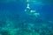 Girl in snorkeling mask underwater photo in blue sea. Diving in fish school. Woman in full-face snorkeling mask