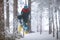 Girl snowboarder going through in the winter forest