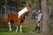 Girl sportswoman and her horse in the spring