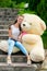 girl on the stairs in the park hugs her huge teddy