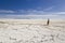 Girl standing on salt of salar de uyuni